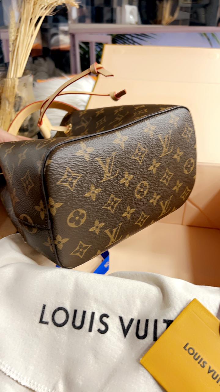 Louis Vuitton Bags