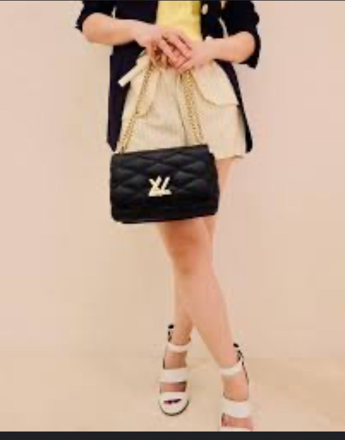 Louis Vuition Bags